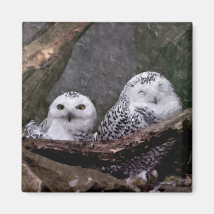 Two Owls Magnet