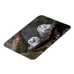 Two Owls Magnet