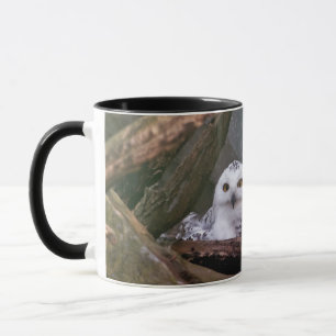 Two Owls Mug