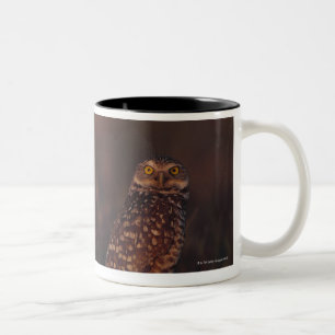 Two Owls on Sand Two-Tone Coffee Mug