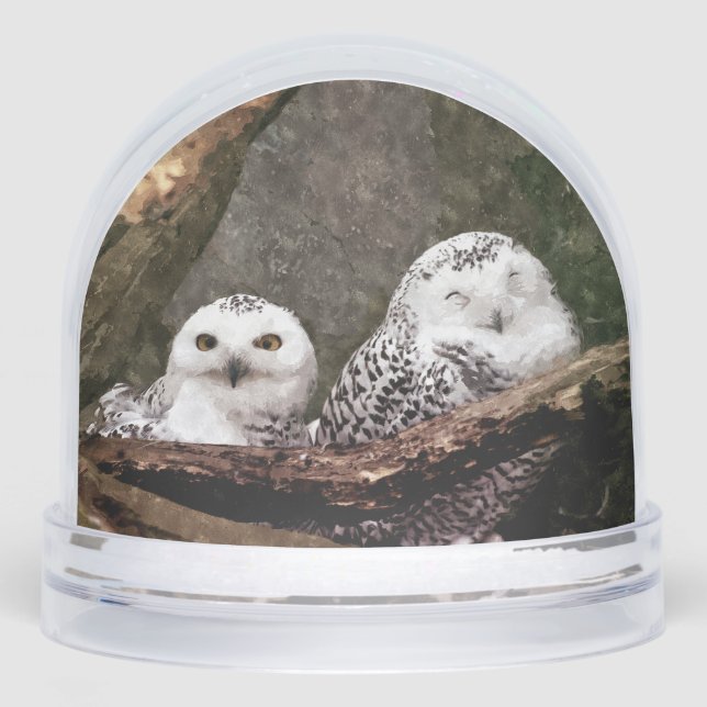 Two Owls Snowglobe (Front)