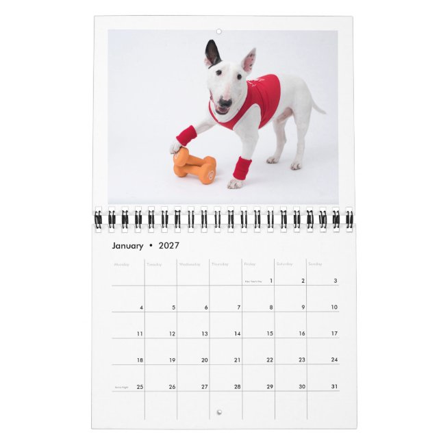 Two Page MediumCalendar, White Calendar (Jan 2027)