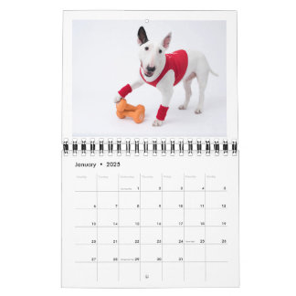 Two Page MediumCalendar, White Calendar