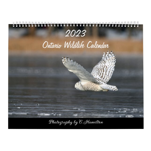 Two Page MediumCalendar, White Calendar (Cover)