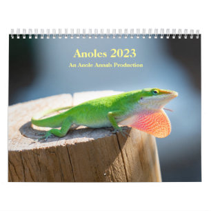 Two Page MediumCalendar, White Calendar