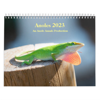 Two Page MediumCalendar, White Calendar