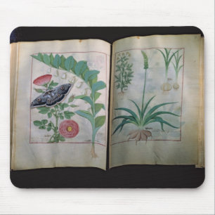 Two pages depicting Rose and Garlic Mouse Mat