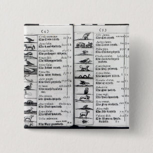 Two pages from 'Orbis Sensualium Pictus' 15 Cm Square Badge