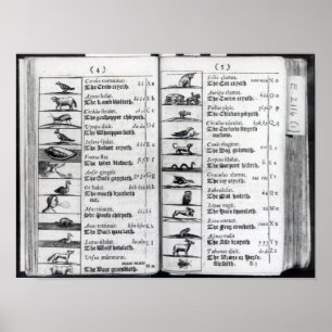 Two pages from 'Orbis Sensualium Pictus' Poster