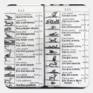 Two pages from 'Orbis Sensualium Pictus' Square Sticker