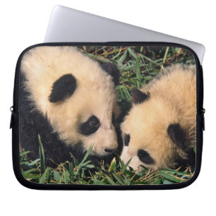 Two panda cubs in the bamboo bush, Wolong, Laptop Sleeve