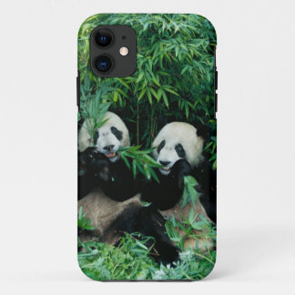 Two pandas eating bamboo together, Wolong iPhone 11 Case