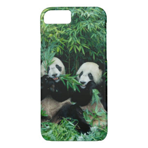 Two pandas eating bamboo together, Wolong iPhone 8/7 Case