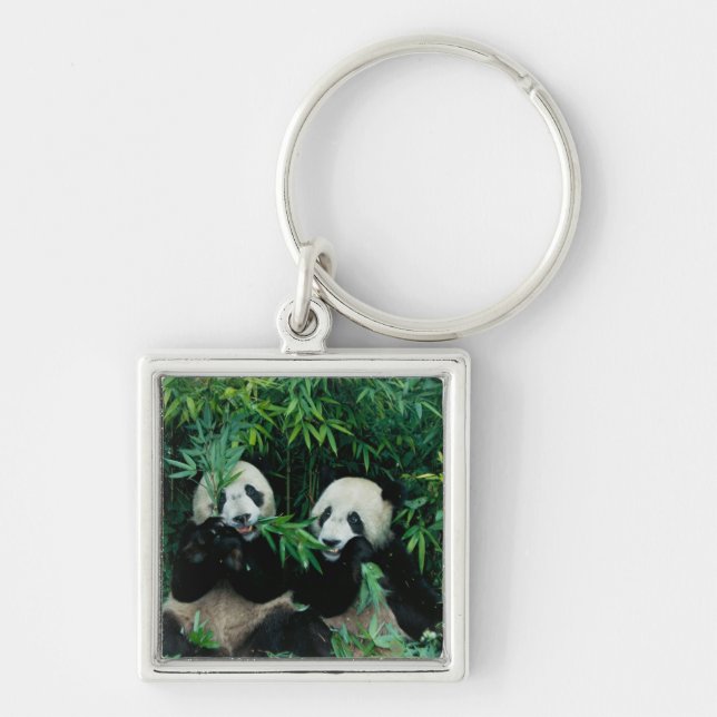 Two pandas eating bamboo together, Wolong Key Ring (Front)