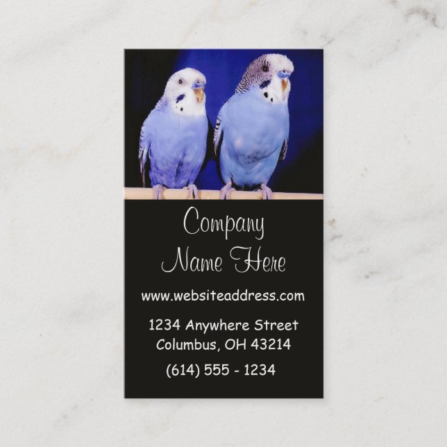 Two Parakeets Business Cards (Front)
