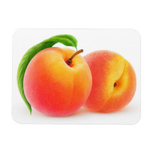 Two peaches magnet