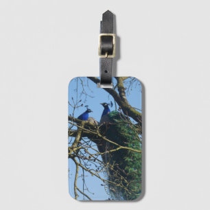 Two Peacocks in a Tree Luggage Tag