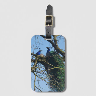 Two Peacocks in a Tree Luggage Tag