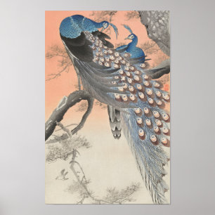 Two Peacocks on Tree Branch by Ohara Koson Poster