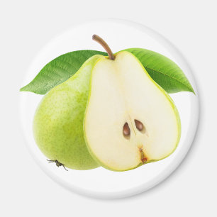 Two pears magnet