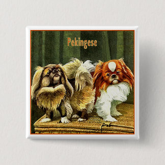Two Pekingese Dogs 15 Cm Square Badge
