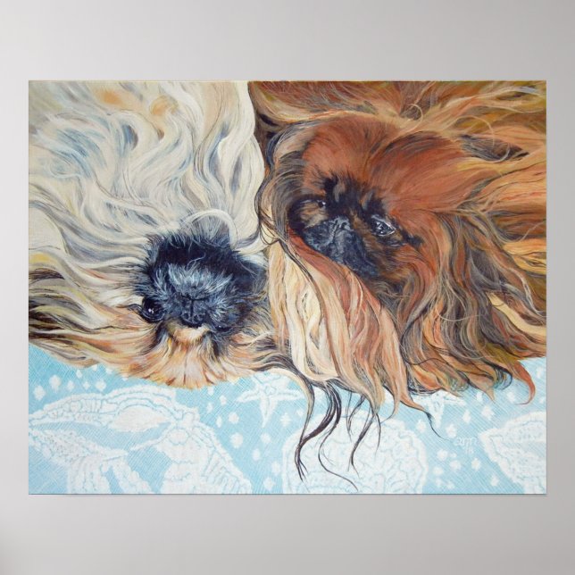 Two Pekingese Dogs Poster (Front)