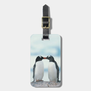 Two Penguins touching beaks Luggage Tag