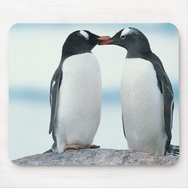 Two Penguins touching beaks Mouse Mat (Front)