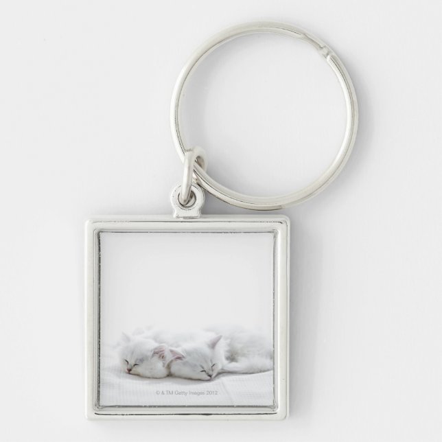 Two Persian Kittens Key Ring (Front)