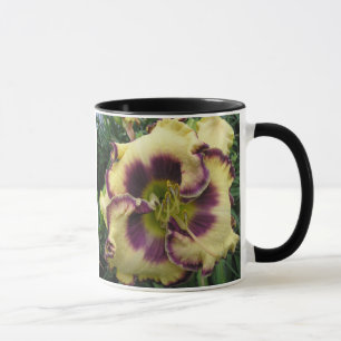 Two Picture Mug