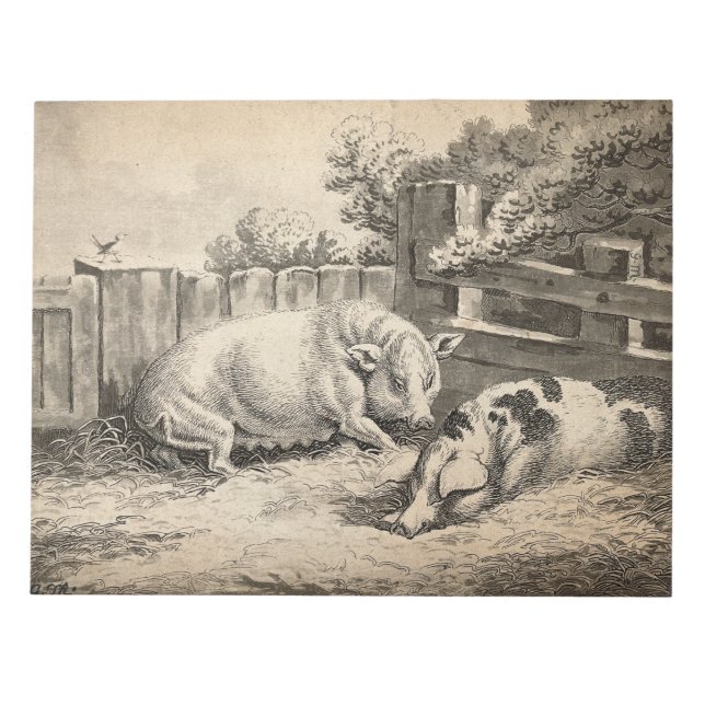 Two Pigs Lying in Straw in an Outdoor Pen Notepad (Front)