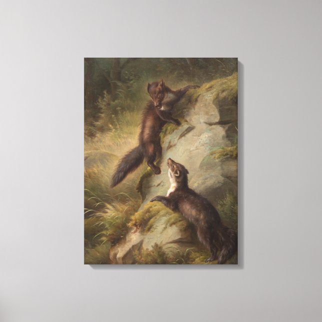 Two Pine Martens on a Rock in the Forest Canvas Print (Front)