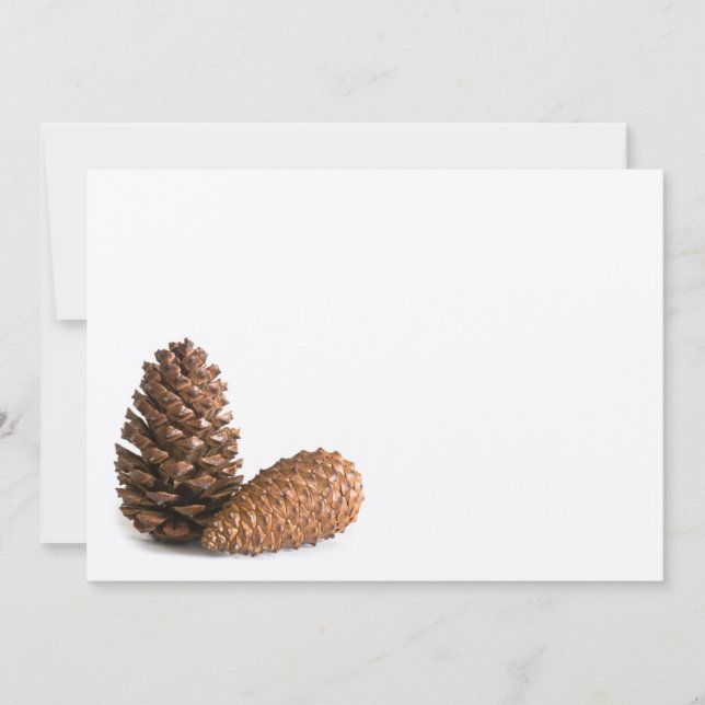Two pinecones (Front)