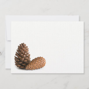 Two pinecones