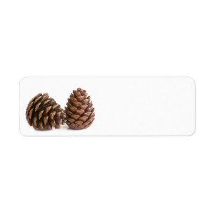 Two pinecones