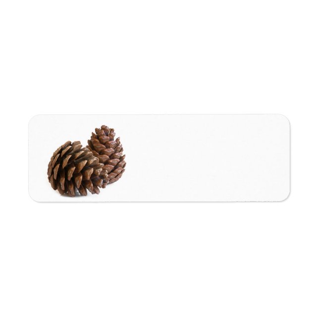 Two pinecones (Front)