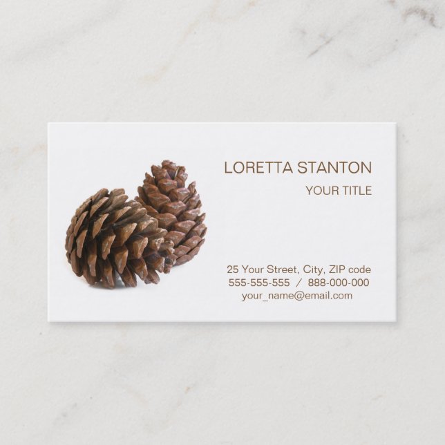 Two pinecones business card (Front)