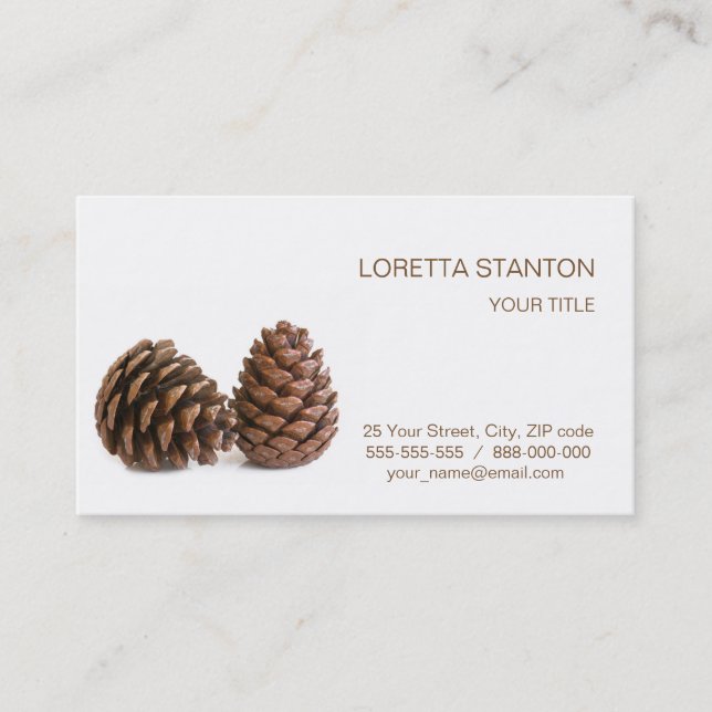 Two pinecones business card (Front)
