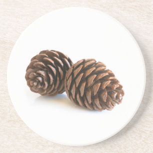 Two pinecones coaster
