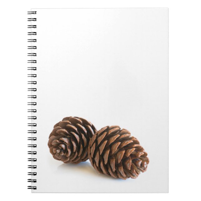 Two pinecones notebook (Front)