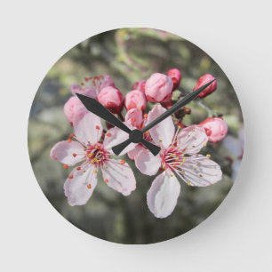 Two Pink Blossoms Reaching Out. Round Clock