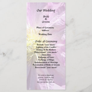 Two Pink Clematis Programme