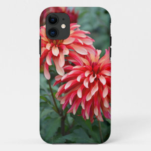 Two pink dahlia flowers iPhone 11 case