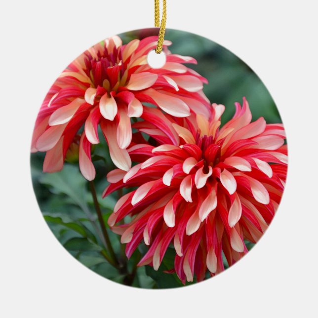 Two pink dahlia flowers ceramic tree decoration (Front)