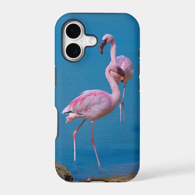 Two Pink Flamingos (Back)