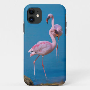 Two Pink Flamingos iPhone 11 Case