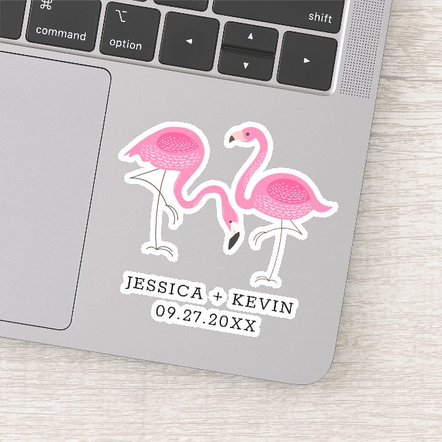 Two Pink Flamingos Illustration (Detail)