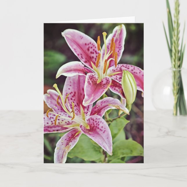 Two Pink Lilies Scripture Card Philippians 4:19 (Front)