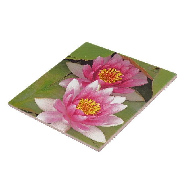 "TWO PINK LOTUS BLOSSOMS" decorative tile (Side)