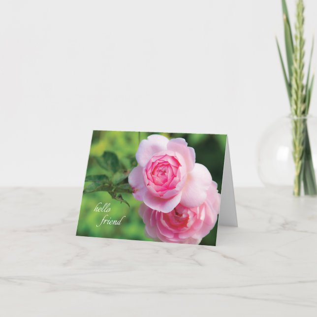 Two Pink Roses, hello friend - Note Card (Front)